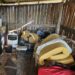 Foto: MPRS/Blog do Juares/Reprodução