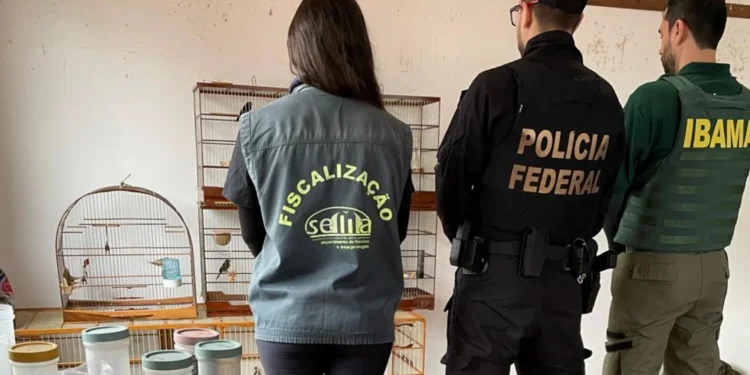 Foto: GZH/Reprodução