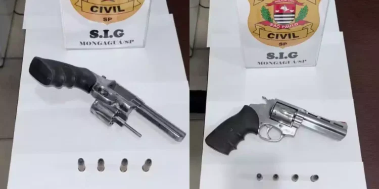 Foto: Polícia Civil/Reprodução