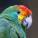 Foto: Fluffandshutter/GettyImages/Reprodução