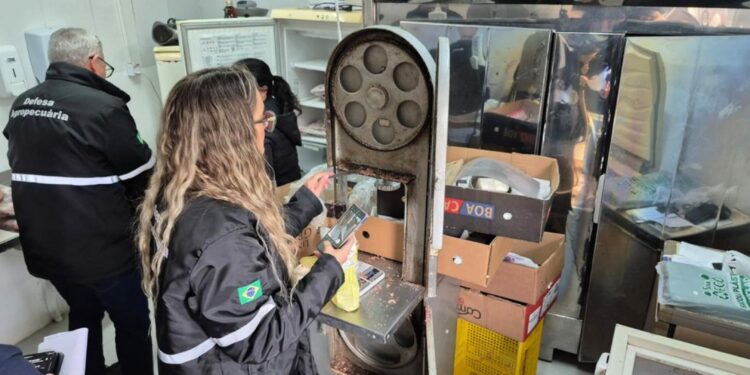 Foto: GZH/Reprodução