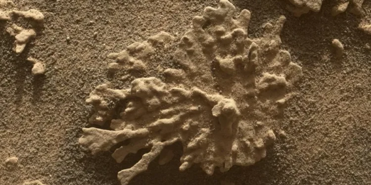 Foto: Nasa/Reprodução
