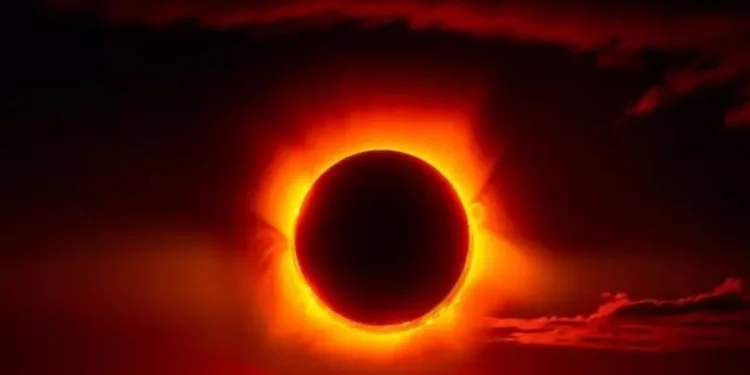 Foto: Freepik/Divulgação/ND/Reprodução