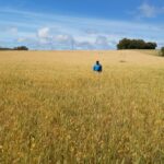 Tarifa dos EUA pode afetar 75% das exportações do agro gaúcho