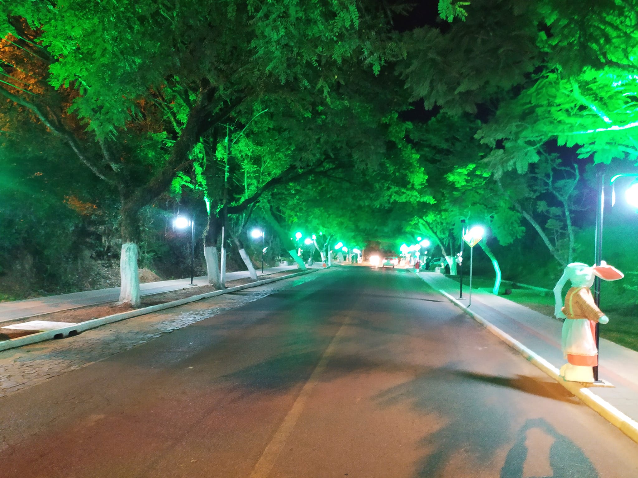 Imagem mostra túnel verde em São Jerônimo