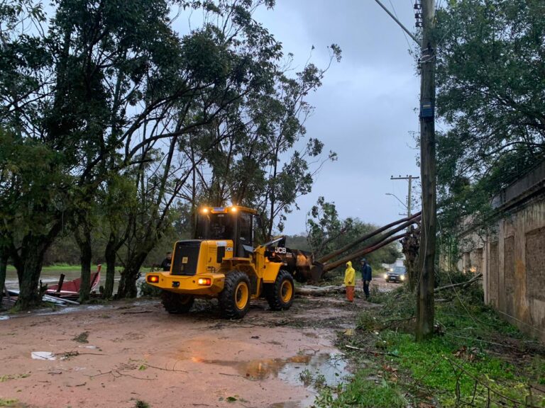 São Lourenço do Sul monta mutirão de reconstrução após ciclone