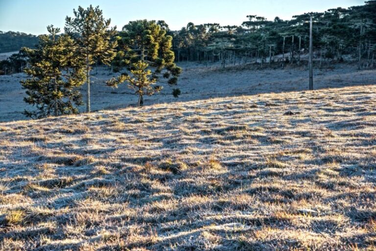 Previsão do tempo: frio persiste nos próximos dias no RS Mínimas devem cair consideravelmente nesta terça em Camaquã