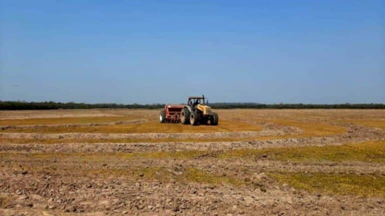 Medida Provisória perdoa dívidas de produtores rurais gaúchos 