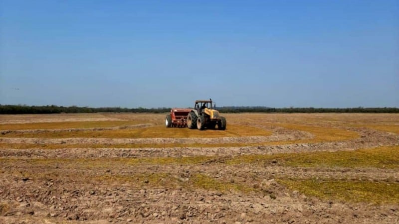 Medida Provisória perdoa dívidas de produtores rurais gaúchos 