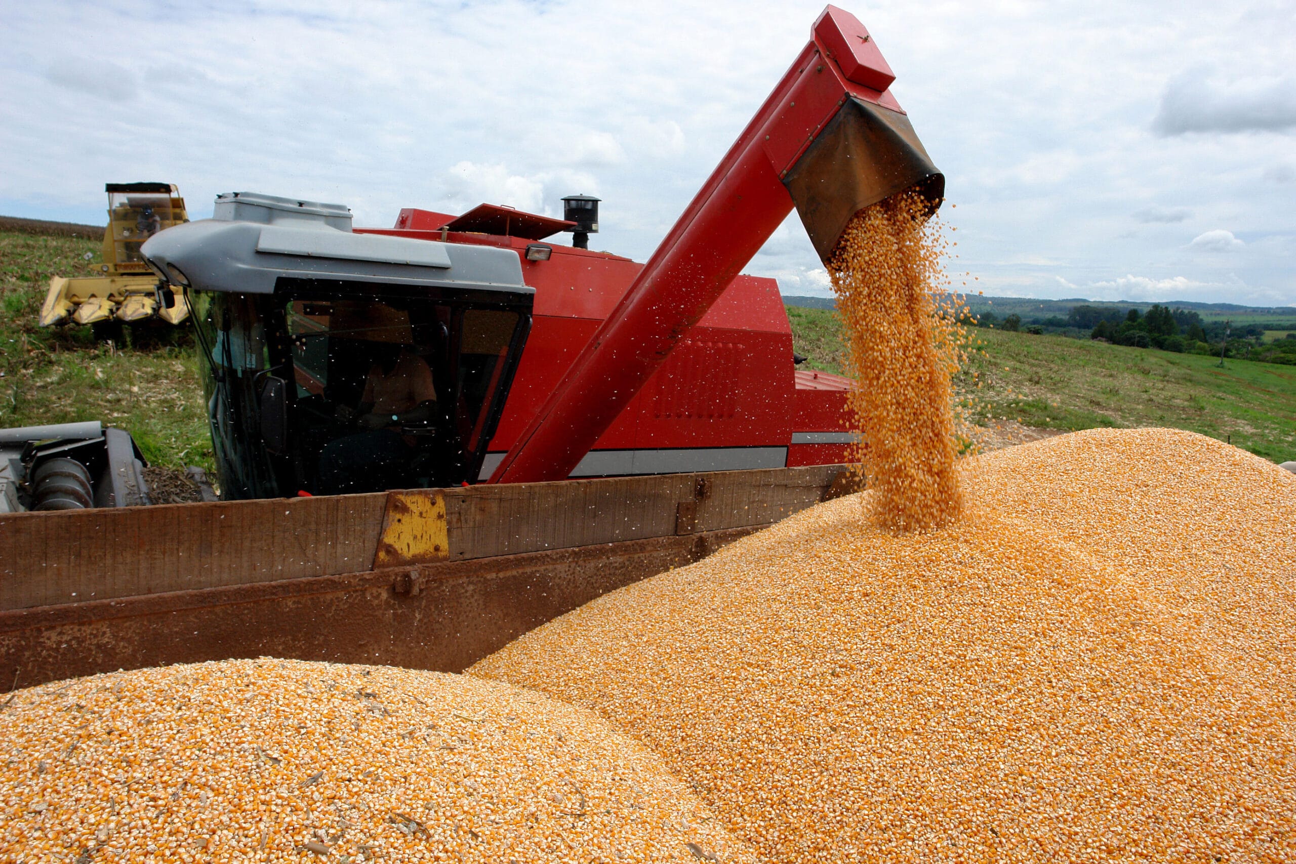 Conab estima produção de 40,18 milhões de toneladas de grãos