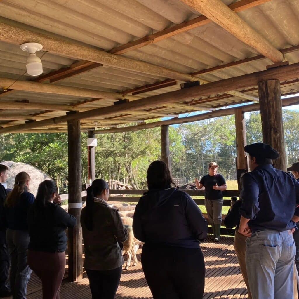 Cabanha Pelego Branco promove dia de campo para estudantes da UFRGS