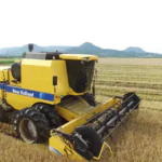 Colheita do arroz no RS está em 67%