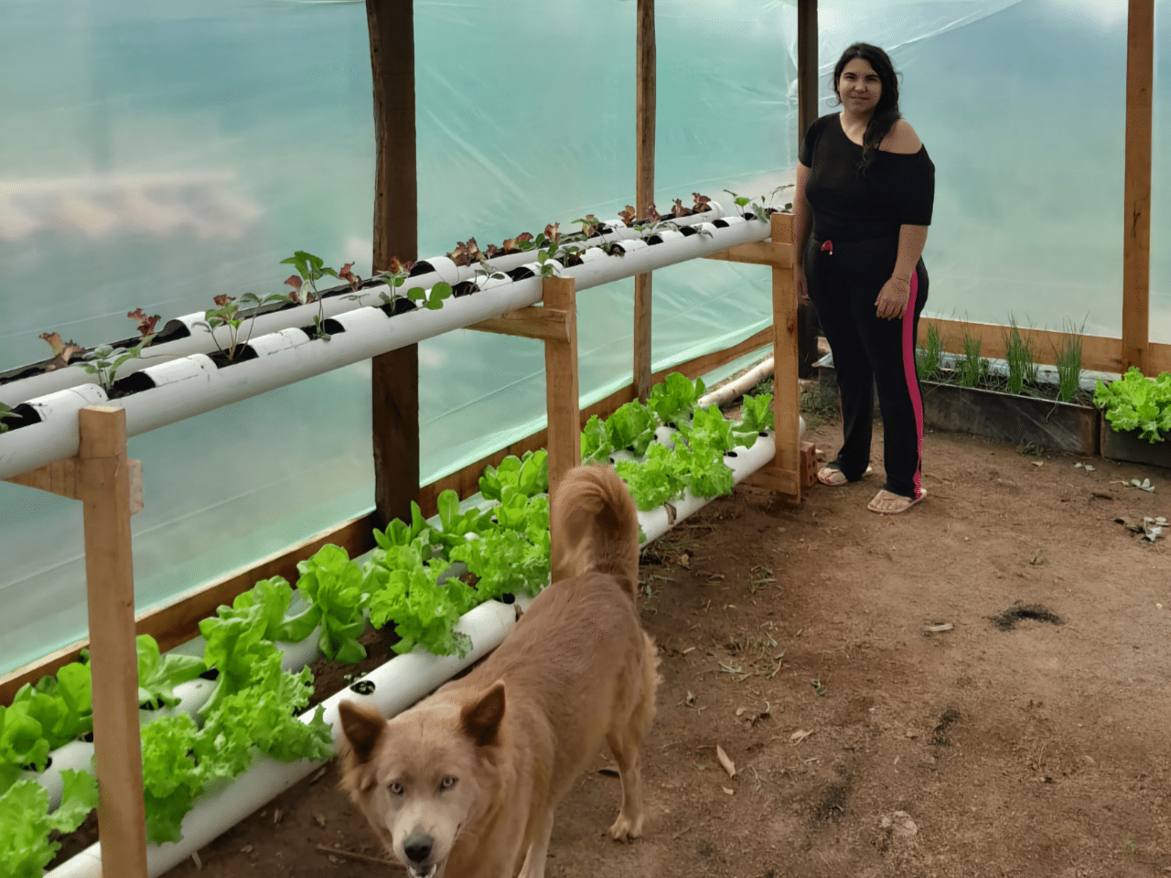 50 famílias de agricultores em Chuvisca são beneficiadas por programa da Emater