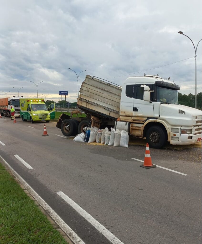Acidente na BR-116: caminhão tomba e causa bloqueio em trecho da rodovia