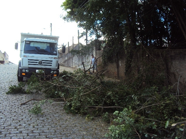 Solicitação de poda e abate de árvores em Camaquã