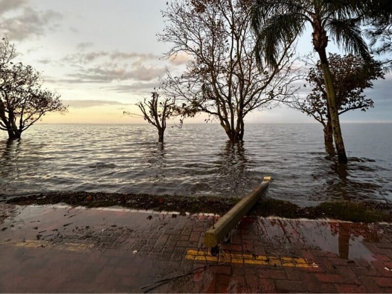 São Lourenço do Sul: Lagoa dos Patos volta a subir nesta sexta