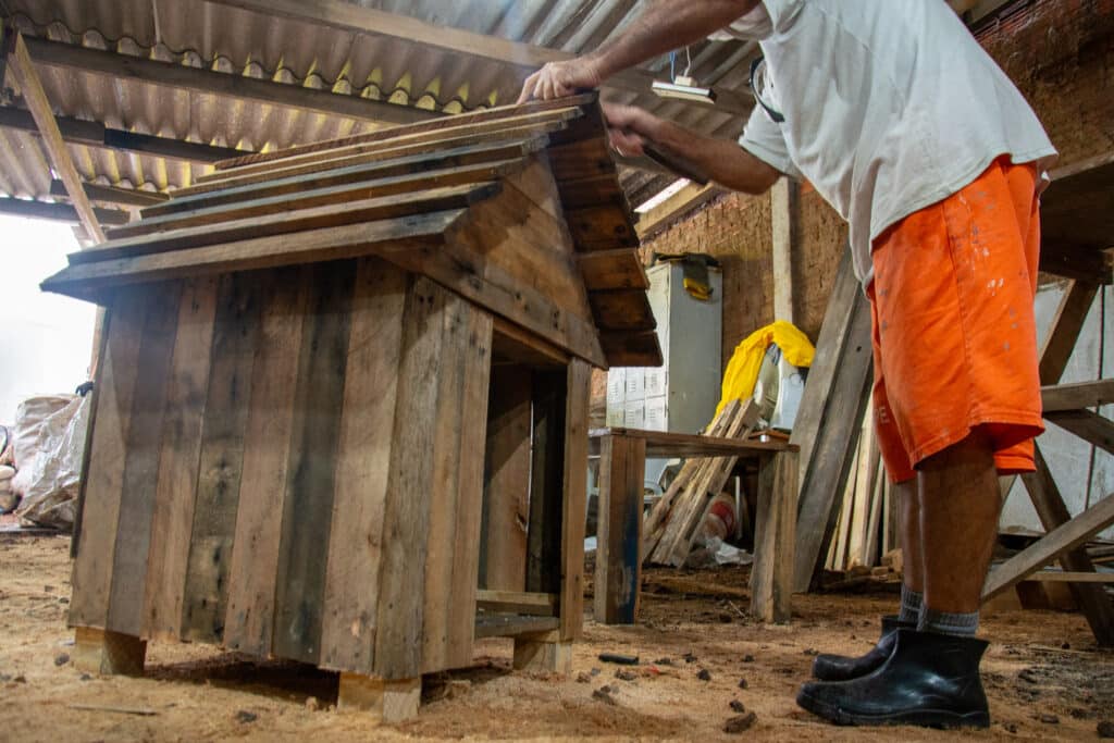 Apenados constroem casinhas para cães resgatados das enchentes