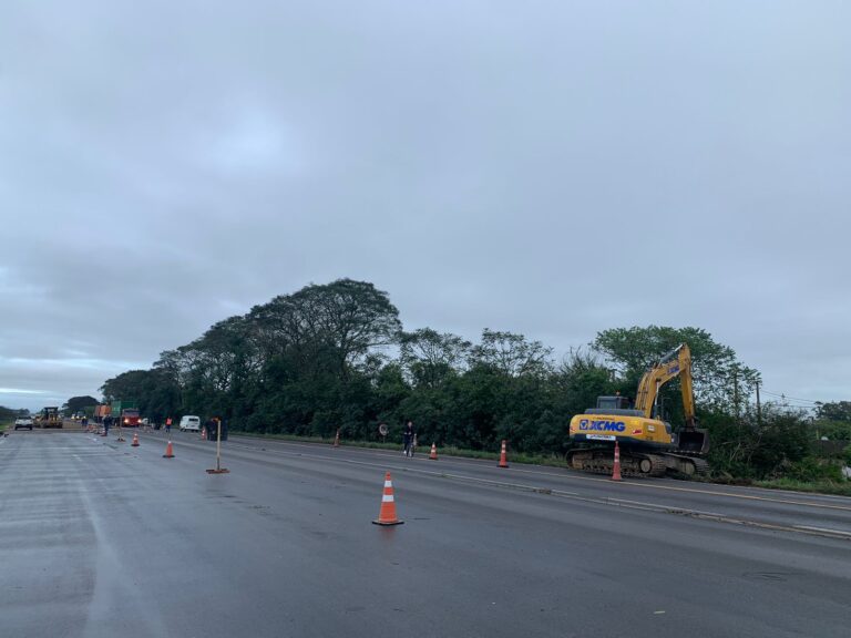 Poda de árvores na BR-116 altera trânsito na manhã desta quinta-feira (20)