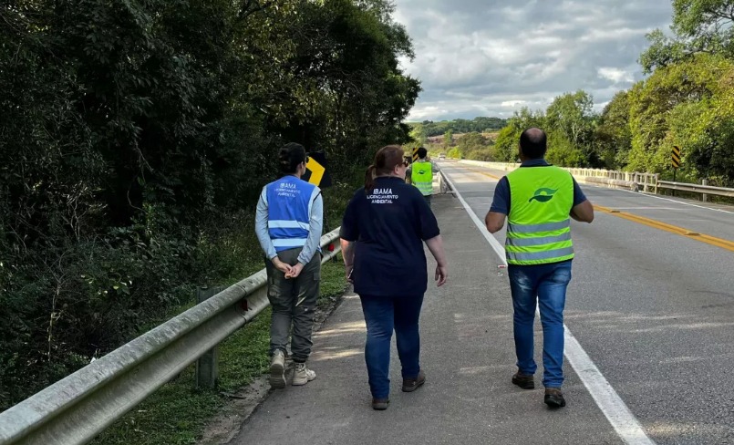 Ecosul realiza monitoramento de fauna viva na sua área de concessão rodoviária