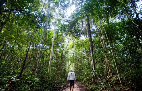 Câmara dos Deputados aprova projeto que regulamenta produção de hidrogênio verde