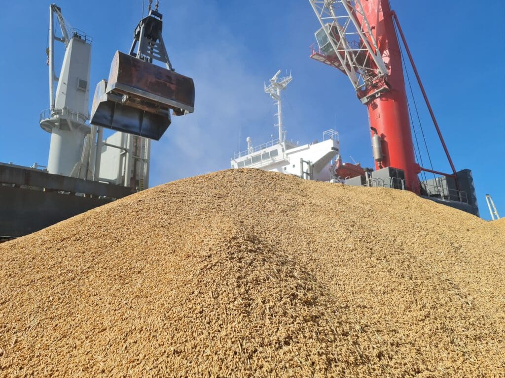 Exportações de arroz pelo Porto de Rio Grande atingem o mercado internacional. Foto: Divulgação/Portos RS