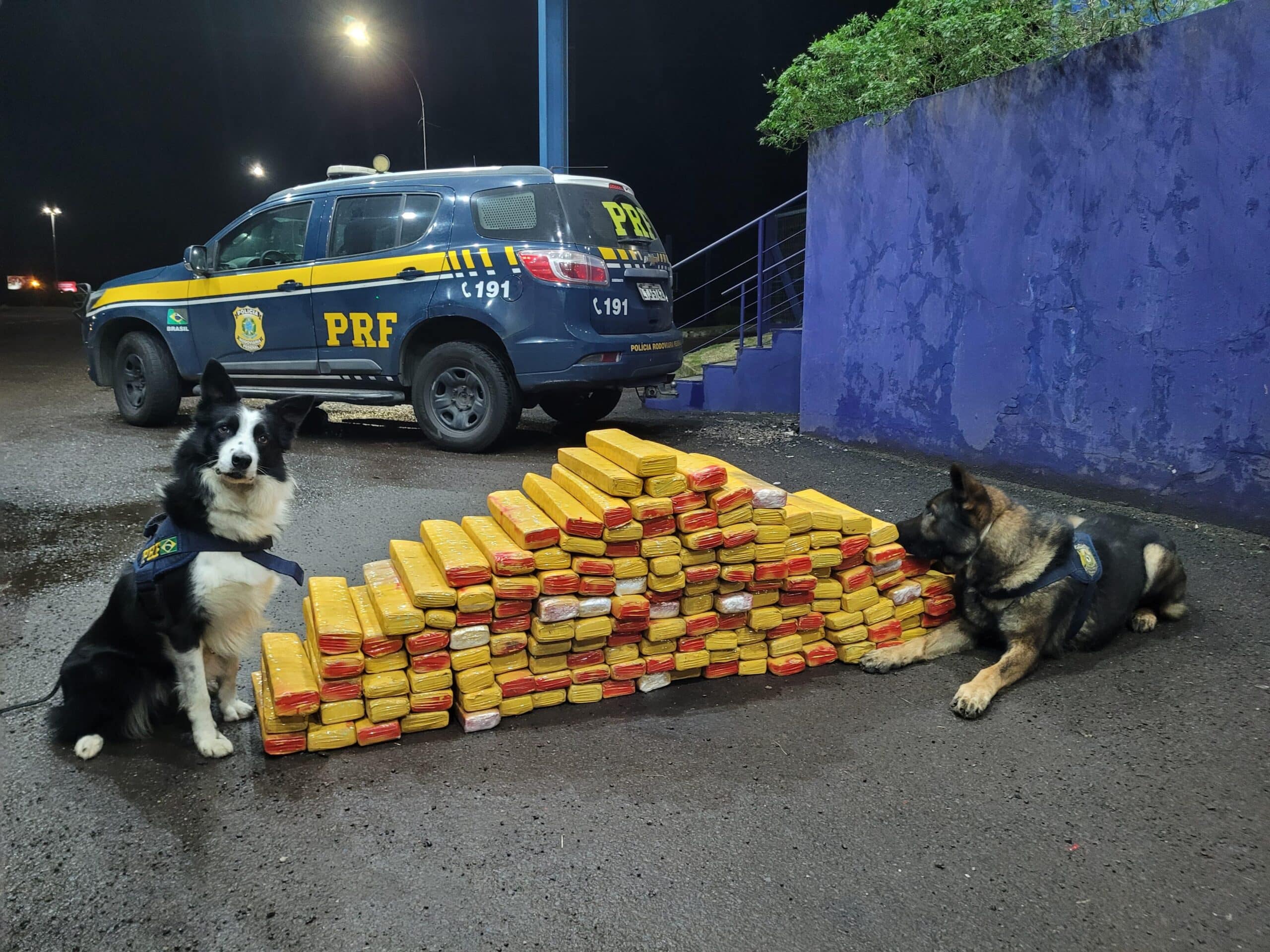 PRF apreende 200 kg de maconha escondidas em caminhão em Osório