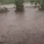 Morador registra chuva de granizo em Barra do Ribeiro