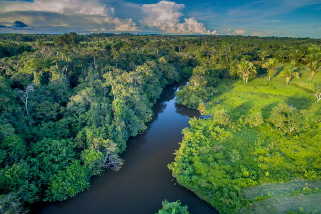 Hoje na História - 5 de Setembro - Dia da Amazônia. Foto: Reprodução/Internet