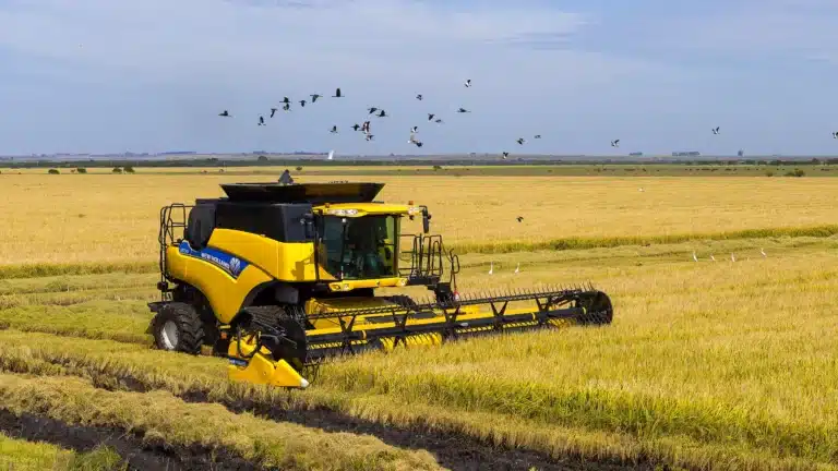 Semeadura de arroz no RS avança, mas chuvas atrasam trabalhos