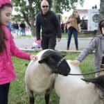 Expofeira de Pelotas: confira a programação desta terça