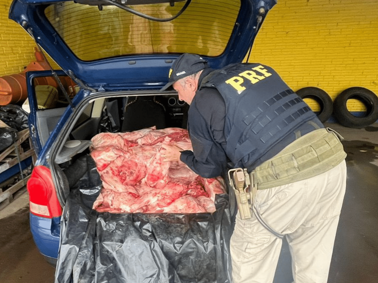 PRF prende homem com quase 300 quilos de carne de capivara em Sant’Ana do Livramento
