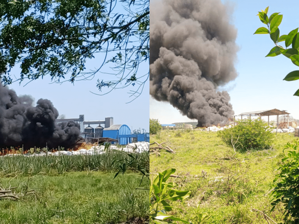 Incêndio atinge usina de reciclagem em Camaquã