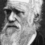 Hoje na História: 27 de dezembro – Charles Darwin parte para épica viagem a bordo do HMS Beagle