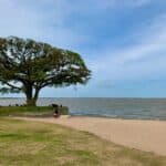 Laudo da Fepam mostra quais as praias que estão impróprias para banho