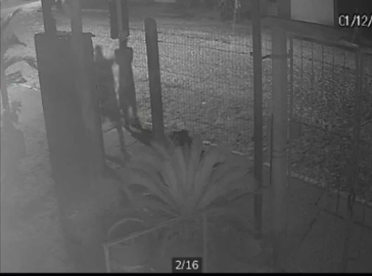 Câmera de segurança flagra jovens arrancando placa de trânsito em Camaquã