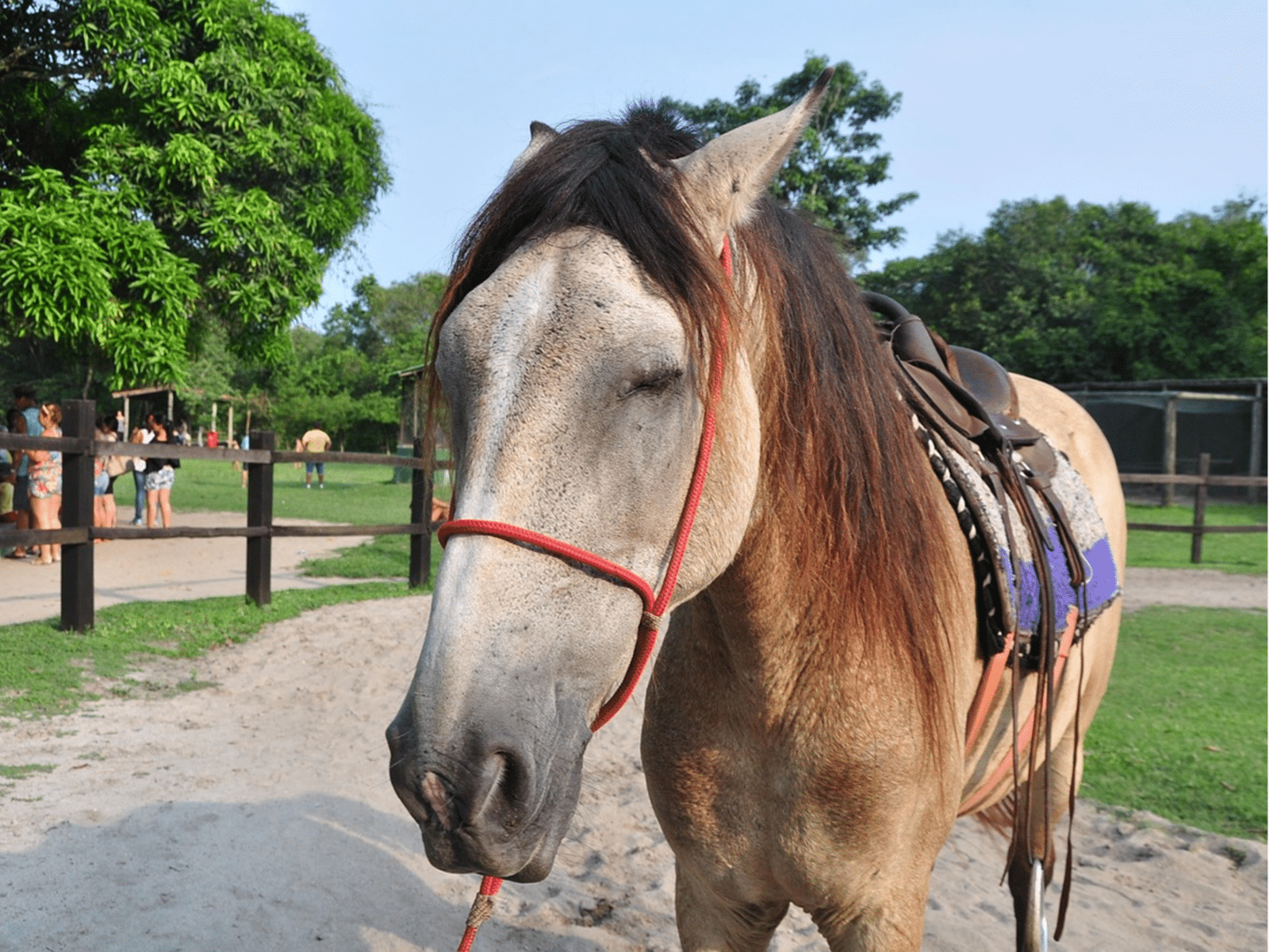 A importância da Cavalgada Cultural para a tradição gaúcha