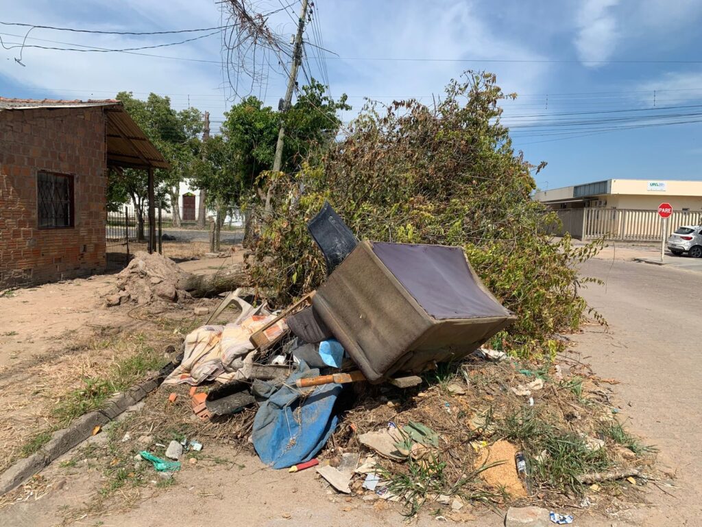 Árvore caída, descarte irregular de lixo e poste tombado causam transtornos aos moradores do bairro Viégas