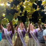 Abertura da colheita da uva em Camaquã ocorre nesta sexta-feira (17)