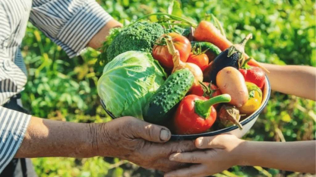 Desenrola Rural: agricultores poderão renegociar dívidas a partir de 24 de fevereiro