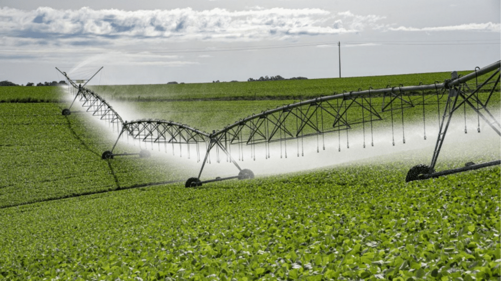 Zé Nunes assume presidência da Comissão de Agricultura e destaca desafios do setor