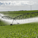 Estado abre edital de seleção para Programa de Irrigação, que vai ajudar na mitigação da estiagem