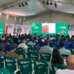 Abertura da Colheita do Arroz e Grãos em Terras Baixas acontece em Capão do Leão