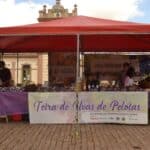 Feira de Uvas de Pelotas acontece até sábado (15)