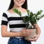 8 plantas muito fáceis de cuidar para pessoas que não tem tempo sobrando