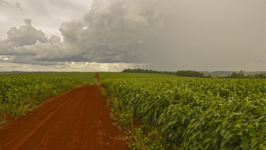 Previsão do tempo: temperaturas caem neste domingo no RS