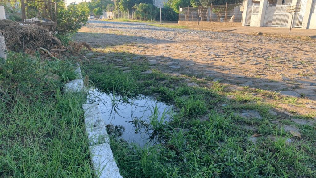 Esgoto a céu aberto causa transtornos a moradores da Cohab em Camaquã