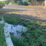 Esgoto a céu aberto causa transtornos a moradores da Cohab em Camaquã