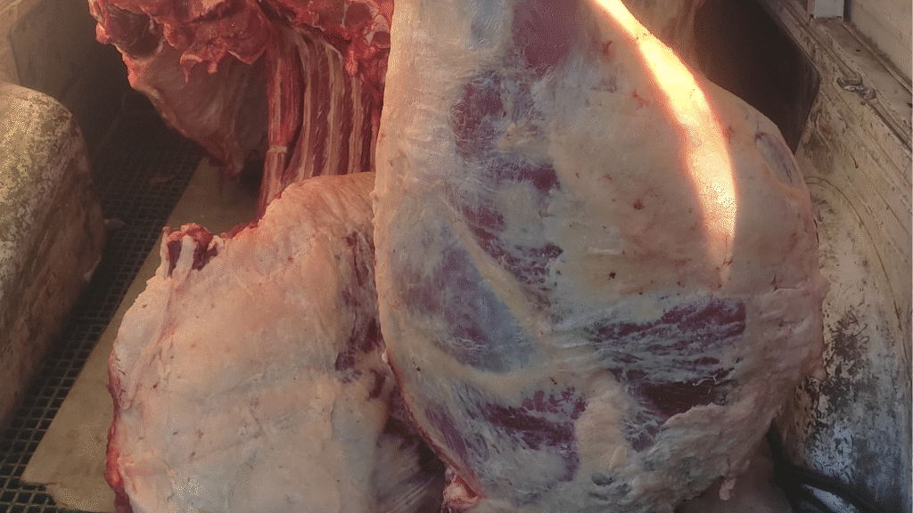 Brigada Militar apreende 250 quilos de carne imprópria para consumo em Pelotas
