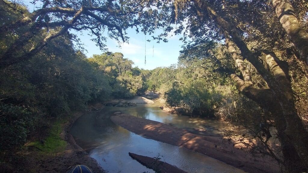 Camaquã promove educação ambiental com Semana do Meio Ambiente