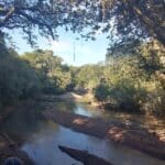 Camaquã promove educação ambiental com Semana do Meio Ambiente